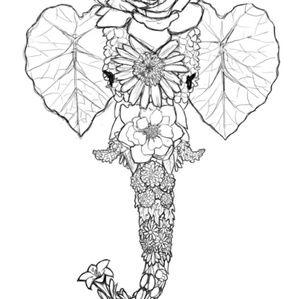 Meet your Posher, Eli